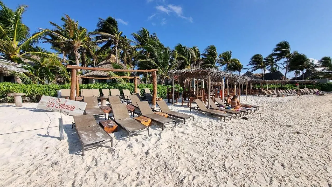 Hippie Chit Jungle Hotel Tulum Mexico