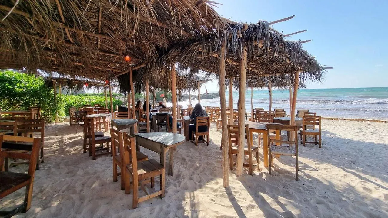 Hippie Chit Jungle Hotel Tulum