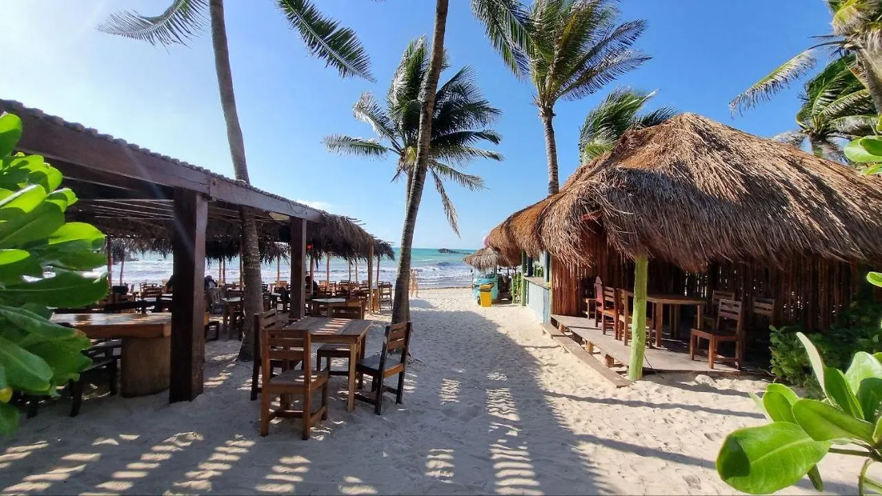 ****  Hippie Chit Jungle Hotel Tulum Mexico