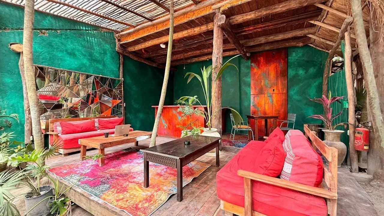 Hippie Chit Jungle Hotel Tulum Mexico