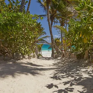 Hotel Dos Ceibas - Massage & Yoga Inclusive